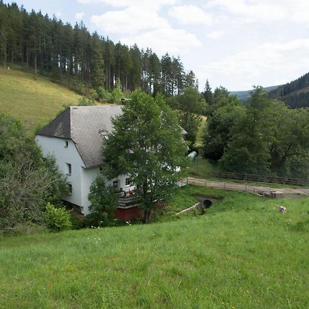 Zur Alten Oele - Hochwertig Und Familienfreundlich Lenzkirch Ngoại thất bức ảnh